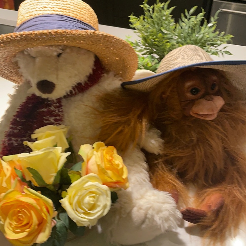 Summer sun hats